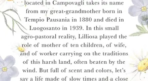Casa Lilliosa - Image 5
