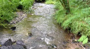 Little Woodacott - Image 4