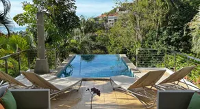 Wild Palms - Image 3