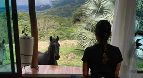 Artistic house in a coffee plantation - Image 3