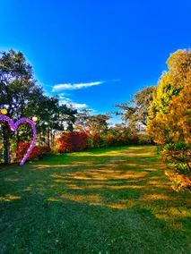 Bhagat's Lakeview villa - Image 4