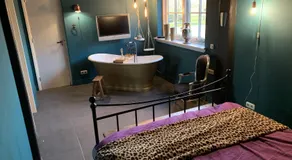 Luxe in stiltegebied tussen loslopende Alpaca’s - Image 2