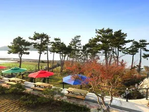 Pierremont A Pension Yeosu - Image 5