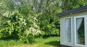 Chalet Hof van Autriche - Image 3