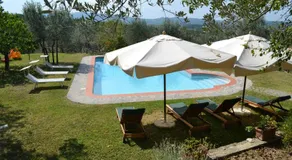 Tenuta Poggio ai Mandorli - Image 4