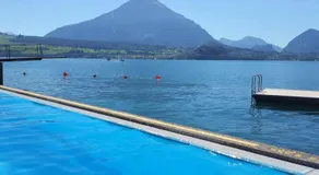 Concierge, Lake Thun/Alps Scenic Views by SwissHut - Image 4