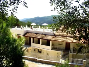 Steve Apartments - Image 3