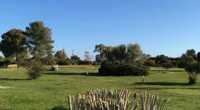 Visit San Teodoro - Image 3