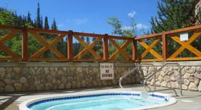 Fireside Lodge #413 By Bear Country - Image 5