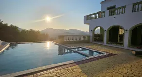 Olive Villa - Image 3