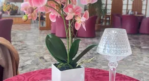 Hotel Splendid Toscolano Maderno - Image 5