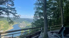 Alte Weinstuben Steinfelder Hof - B&B - Image 3