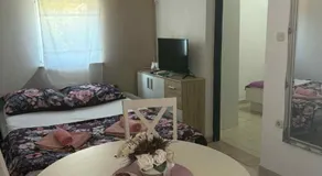 Sandra - Image 2