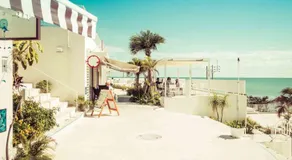 Hotel Palm Tree Hill - Image 3