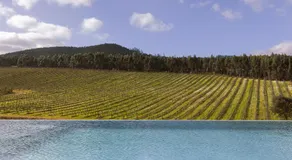 Quinta da Murnalha - Image 5