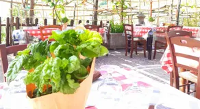 Agriturismo il Pettirosso - Image 4