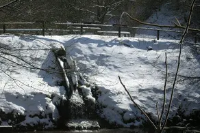 Appartamento con terrazza e giardino - Image 4