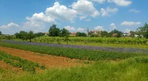 Piramida Kras - Image 5