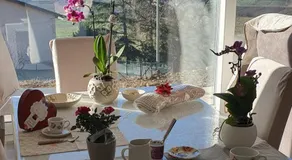 Aurora Bed and Breakfast - Image 4