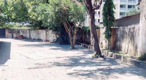 Warm studio in tudor near cbd and TUM University - Image 5