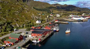 Fish factory -The real Lofoten experience - Image 5