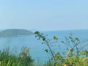 Lu Peaceful Homestay - Image 4