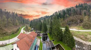 Stara ribogojnica & Pohorska postrv - Image 5