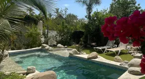 Tropical Oasis - Image 5