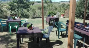 Agriturismo La Chiesina - Image 4