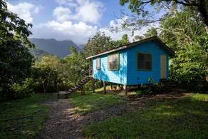 T.R.E.E.S Research Center and Eco Lodge - Image 3