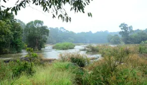 Greenways Tree House and Mud House - Image 5