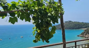 Gliù Vico - Image 3