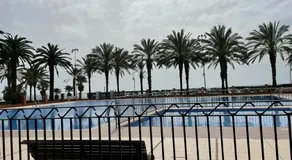 Las Palmeras - Image 4