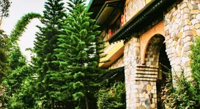 Tree of Life Resort Dehradun Foothills - Image 4