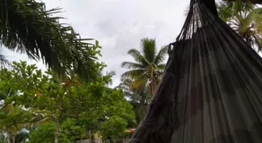 Acampamento Dos Frangos - Image 2