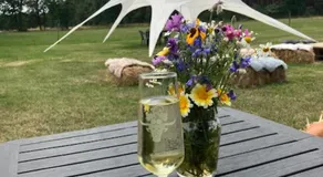 Natuur-like Glamping in Bosland - Image 5