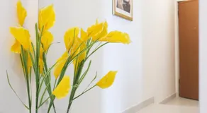 Apartmani Nika Marangun - Image 4