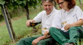 Weingut Herzinger - Image 5