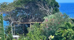 Jamaica Colors Hotel and Eco-Retreat - Image 5