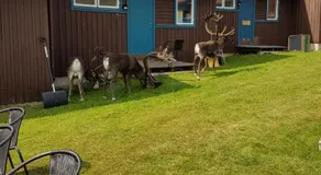 Bydalens Fjällby - Image 5