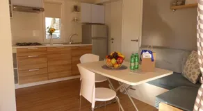 Blue Wave Mobile Home - Image 5