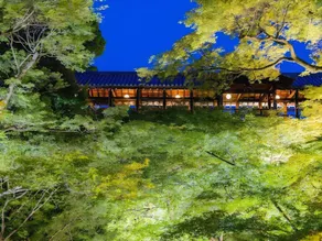 Hotel Keihan Kyoto Ekiminami - Image 4