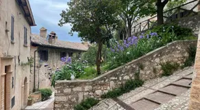 La vecchia vite casa vacanze - Image 3
