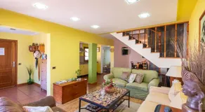 Las Mimosas - Image 2