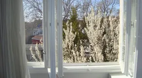 Riki Accommodation - Image 4