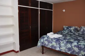 New Kingston Guest Apartment VII - Image 2