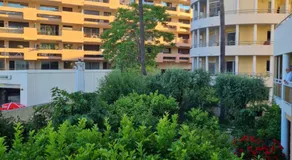 Perle de la côte - Image 3
