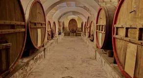 Agriturismo Germogli I Tenuta di Fassia - Image 4