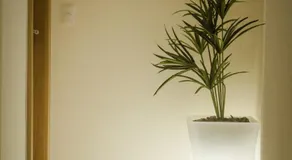Hotel Gomes Freire (Adult Only) - Image 5