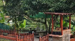 Greenhouse - Image 5